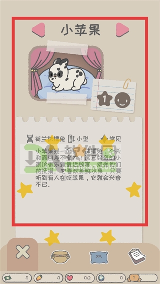 查看兔子介绍
