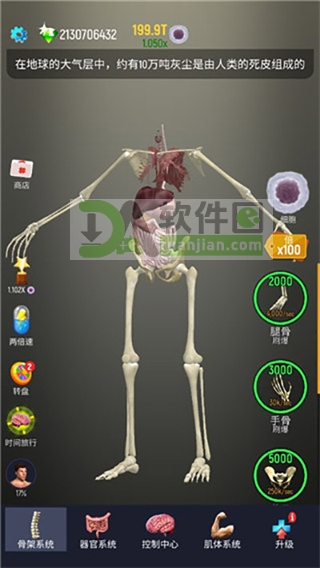 成熟阶段