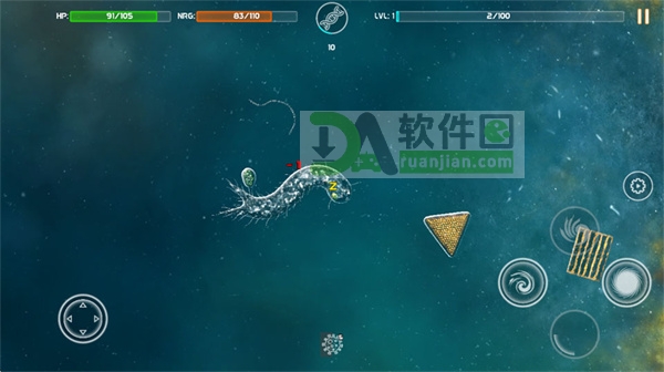 环境适应策略