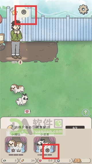 选择合适兔子