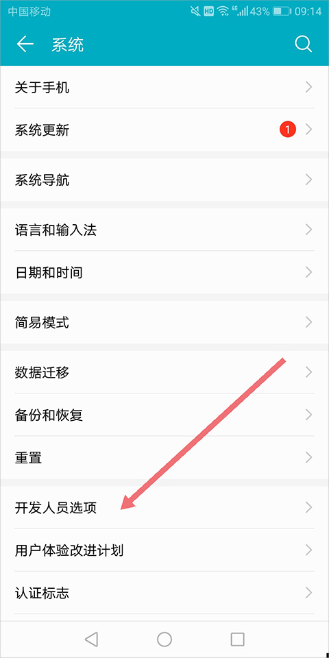 系统菜单中查看开发者选项
